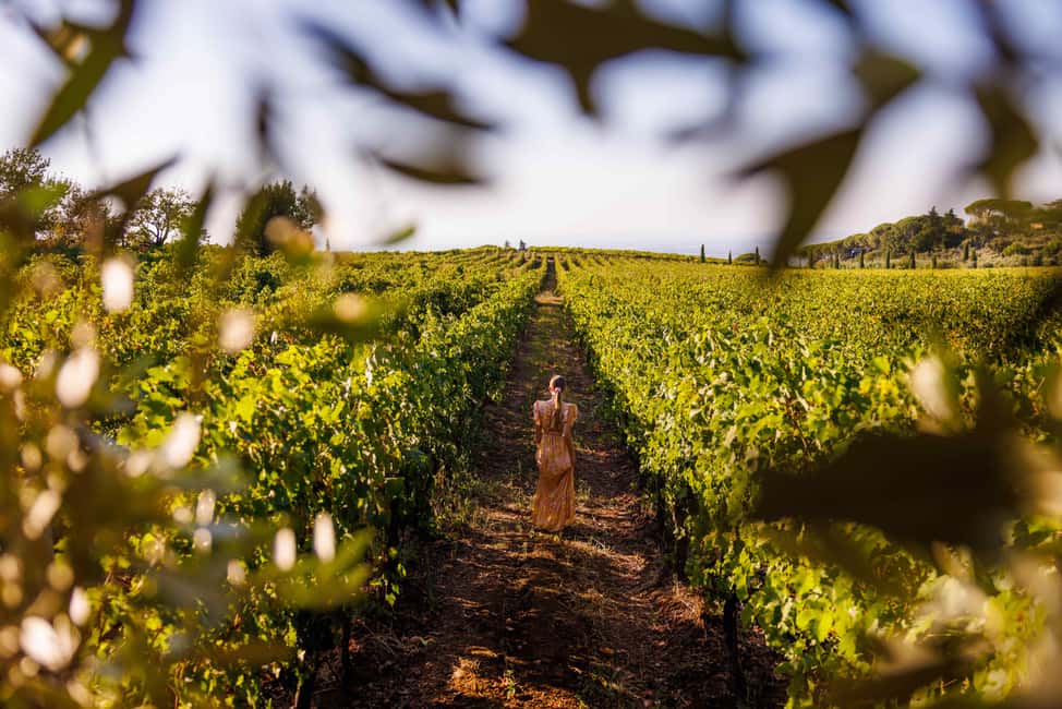image n.2 of From Rome: Frascati Wine Region Tour with Wine Tasting activity in Rome, uploaded by supplier