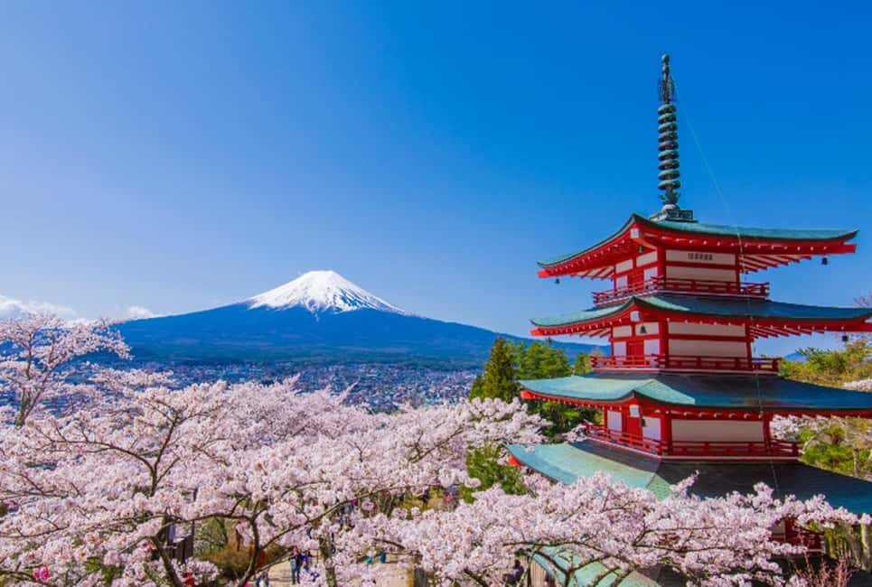 image n.6 of Tokyo: Mt. Fuji, LakeKawaguchiko, Pagoda, & Oishi Park Tour activity in Fujinomiya, uploaded by supplier