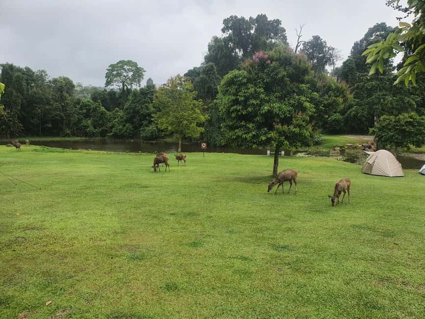 imagen n.º 15 de Desde Bangkok: Excursión de un día en grupo reducido al Parque Nacional de Khao Yai actividad en Provincia de Nakhon Nayok, subida por el proveedor