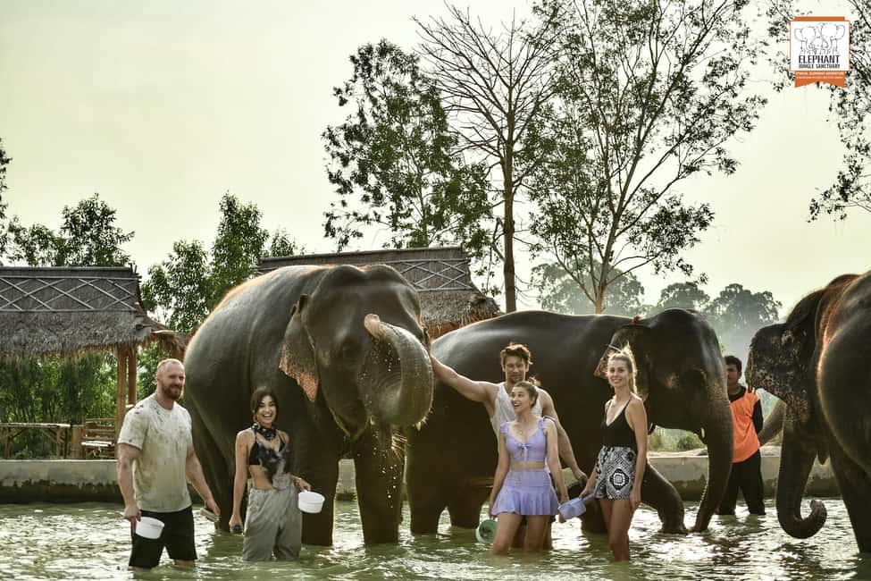image n.6 of Pattaya: Elephant Jungle Sanctuary Half-Day Tour with Meal activity in Pattaya, uploaded by supplier