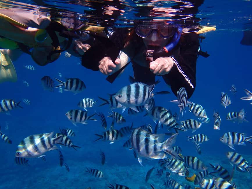 image n.2 of Half-Day Snorkeling Trip to Kerama & Marine Sports activity in Okinawa, uploaded by supplier