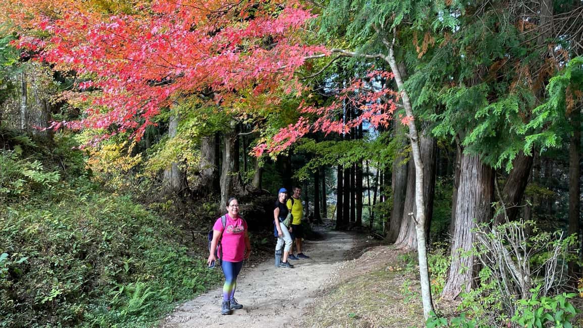 image n.5 of Nagoya: Full-day Kisoji Nakaendo Trail Tour activity in Nagoya, uploaded by supplier