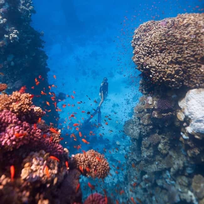 image n.9 of Fethiye: Fly and Dive, Paragliding and Scuba Diving Together, Transfer Included activity in Aegean Coast Region, Turkey, uploaded by supplier