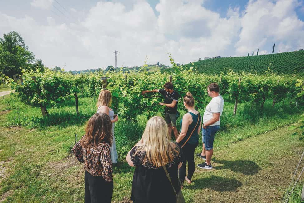 image n.2 of From Venice: Prosecco Wine Region Tour with 2 Tastings activity in Venice, uploaded by supplier