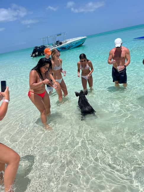 Image N°63 de Nassau : Cochons, plongée en apnée, tortues, déjeuner, club de plage privé activité à New Providence, publiée par le prestataire