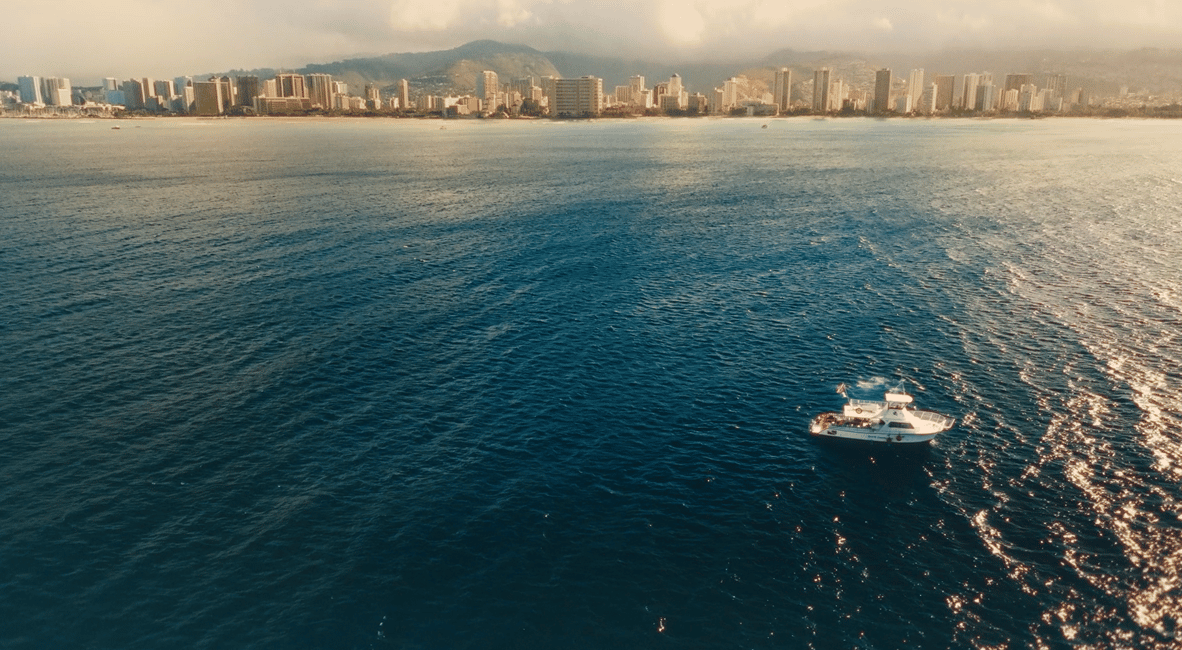 image n.8 of Oahu: Honolulu Turtle Canyon Snorkeling Tour activity in Honolulu, uploaded by supplier