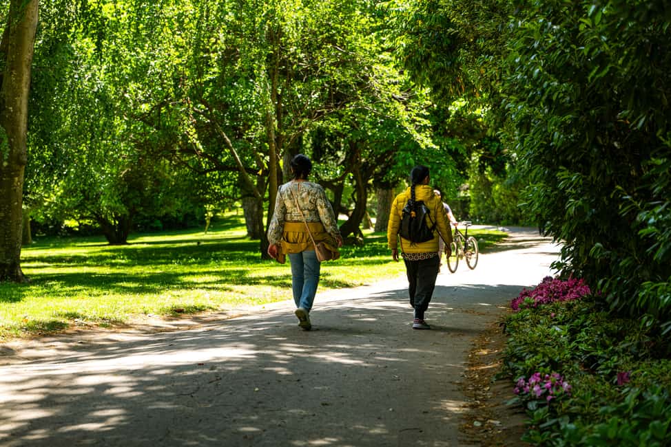 image n.22 of Guided Tour to the Royal Palace of Caserta: discover the Royal Palace and gardens activity in Caserta City, uploaded by supplier