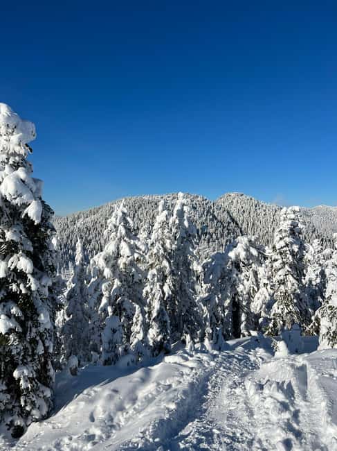 image n.12 of Vancouver: North Shore Mountains Snowshoeing with Transfer activity in West Vancouver, uploaded by supplier