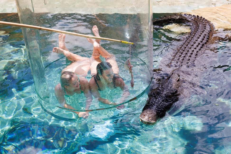image n.3 of "Cage Of Death" Crocodile Swim and Entry to Crocosaurus Cove activity in Darwin, uploaded by supplier