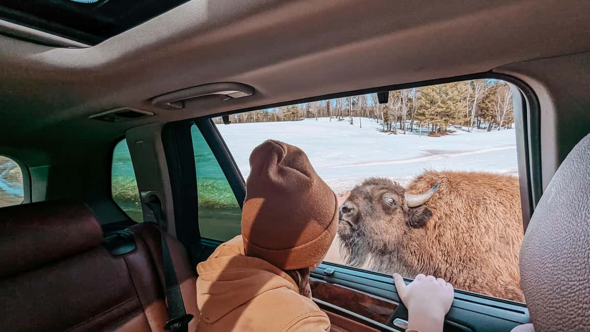 imagem n.22 de Otava: Safari privado de aventura na vida selvagem no Parc Omega atividade em Montebello, carregada pelo fornecedor
