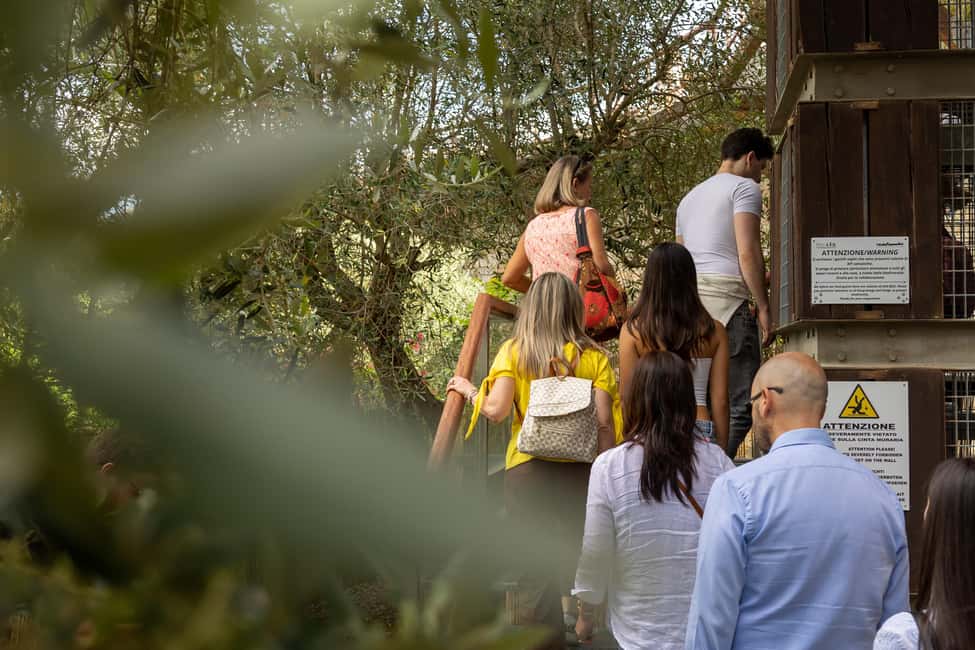 Immagine nº 14 di Firenze: Monteriggioni e Val d'Orcia Degustazione di vini opzionale attività a Monteriggioni, caricata dal fornitore