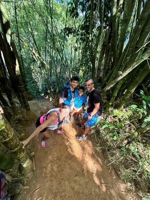 billede nr.3 af aktiviteten Fajardo: Guidet eventyr i El Yunque-skoven i Río Grande, Puerto Rico, uploadet af udbyder