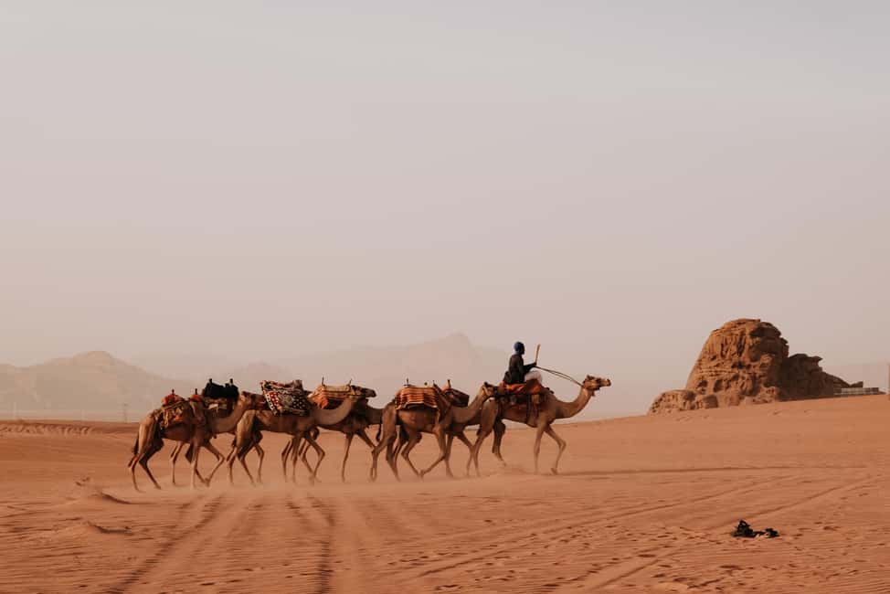 bild nr.15 av Från Amman: Petra, Wadi Rum och Döda havet Privat 3-dagars tur aktivitet i Amman (region), uppladdad av arrangören