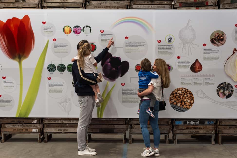 Obraz nr 18 z atrakcji Z Amsterdamu: Keukenhof Gardens & Tulip Experience Tour w Noordwijkerhout, przesłany przez organizatora