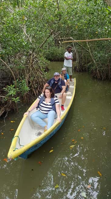 image n.4 of Cartagena: Sail in the mangroves of Cartagena activity in Cartagena, uploaded by supplier