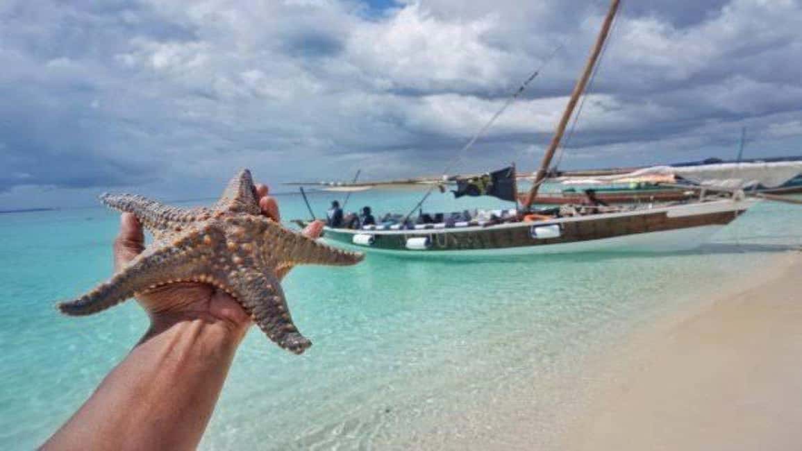image n.3 of Zanzibar: Mnemba Island Snorkelling and Dolphin Tour. activity in Mangapwani, uploaded by supplier