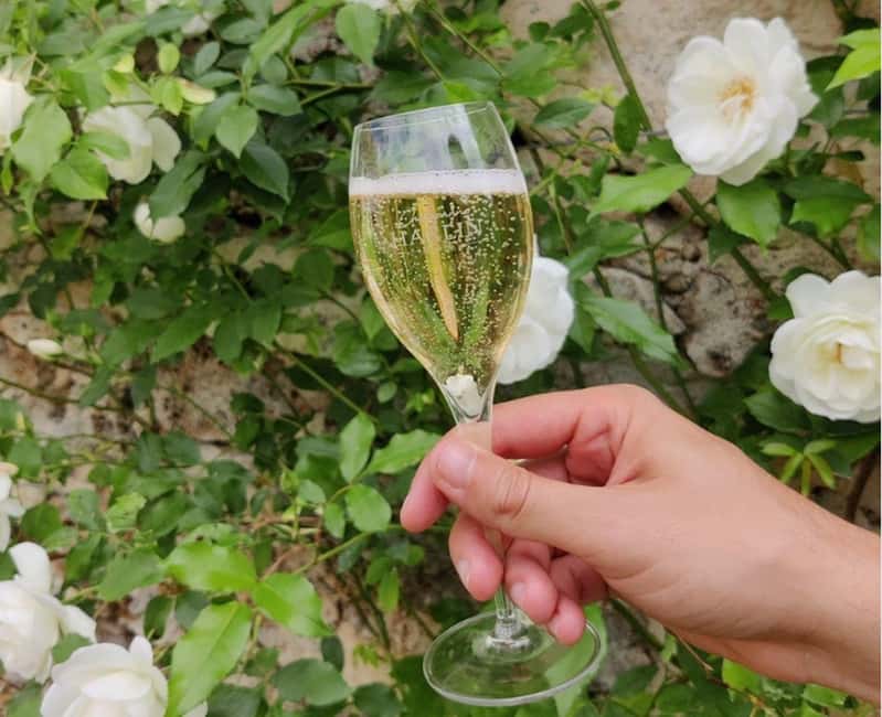 image n.12 of From Paris: Champagne Day Trip with 7 Tastings and Lunch activity in Epernay, uploaded by supplier