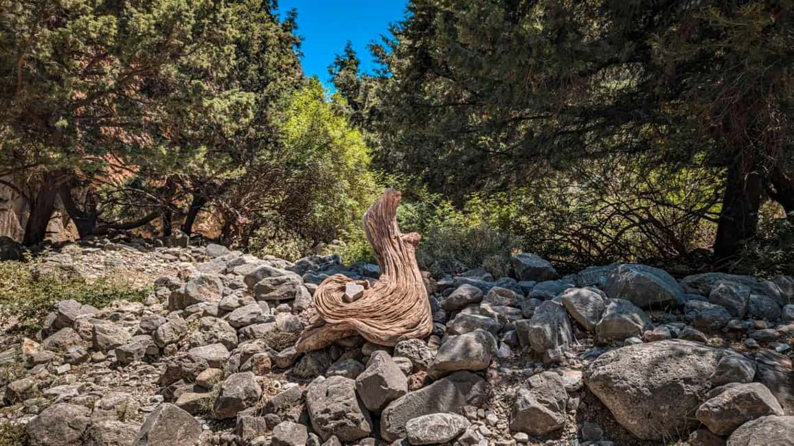 image n.18 of From Rethymno: Imbros Gorge & Libyan Guided Sea Tour activity in Crete, uploaded by supplier
