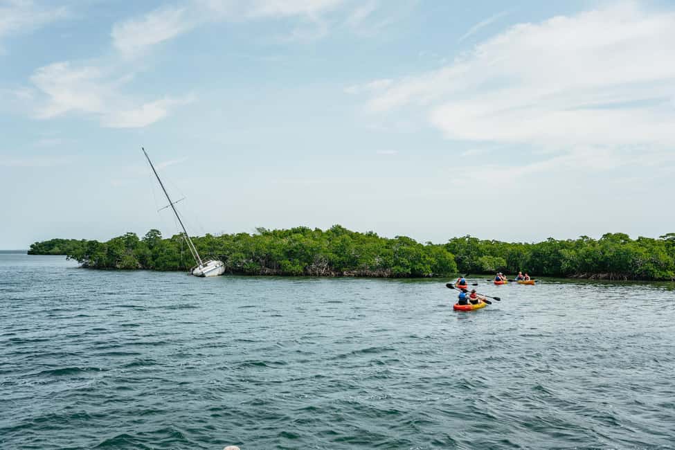 image n.14 of Key West: Sandbar Excursion & Kayak Tour with Lunch & Drinks activity in Key West, uploaded by supplier