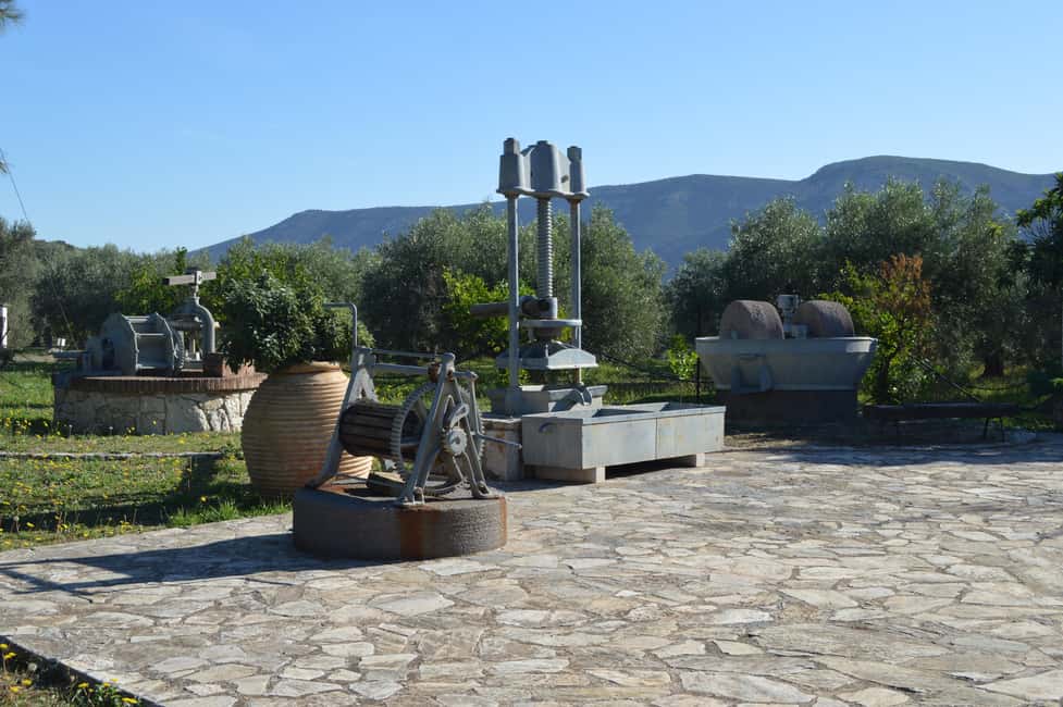 Obraz nr 2 z atrakcji Nafplio: Wycieczka po gospodarstwie oliwnym i degustacja oliwy z oliwek w Peloponez, przesłany przez organizatora
