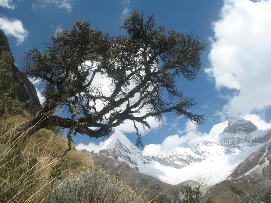 image n.11 of Paron Lake Day Trip and Huascaran National Park activity in Ancash, uploaded by supplier