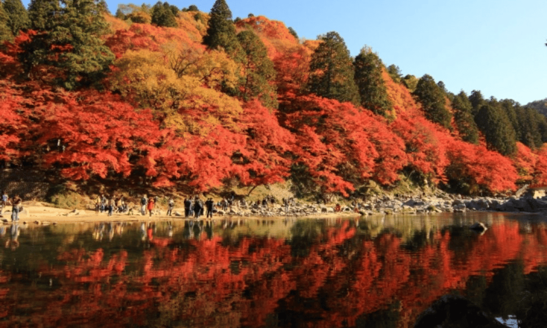 image n.3 of From Nagoya: Obara Shiki-Zakura and Korankei Autumn Trip activity in Nagoya, uploaded by supplier