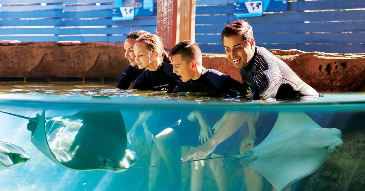 image n.27 of Tampa: ZooQuarium- ZooTampa & Florida Aquarium Combo Ticket activity in Tampa, uploaded by supplier
