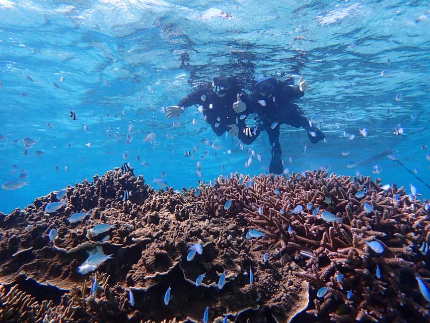 image n.6 of Miyako island: Pumpkin Limestone Caving & Snorkeling activity in Miyakojima, uploaded by supplier