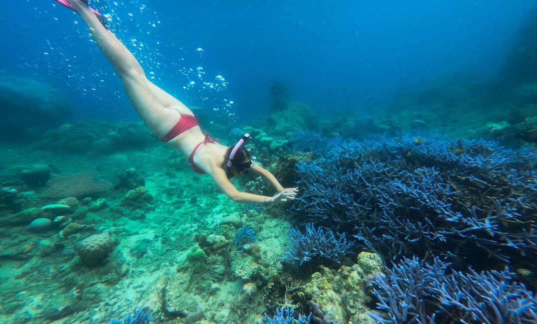 afbeelding n.12 van Privétour snorkelen Gili Gede, GIli Asahan, Gili Goleng activiteit in West-Nusa Tenggara, geüpload door aanbieder