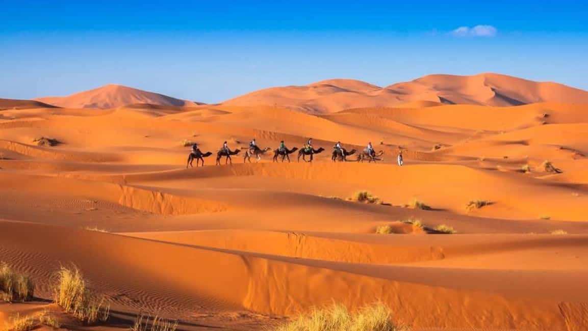 image n.8 of From Fes: 2-Day Merzouga Desert Trip w/Luxury Tent & Dinner activity in Drâa-Tafilalet, uploaded by supplier