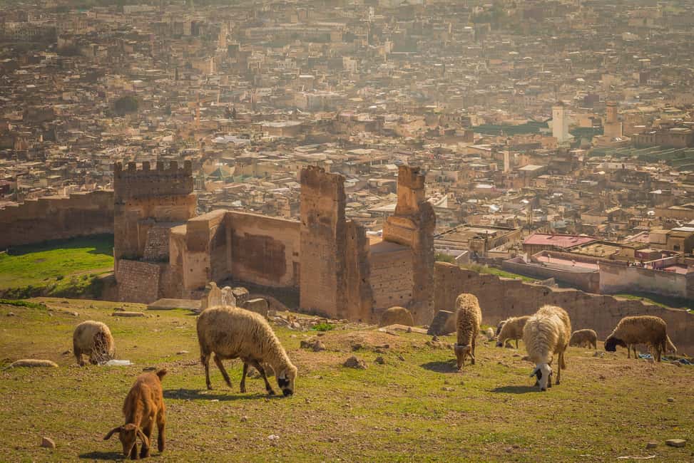 Image N°26 de De Marrakech à Fès : 3 jours d'aventure dans le désert du Sahara activité à Aït-ben-Haddou, publiée par le prestataire