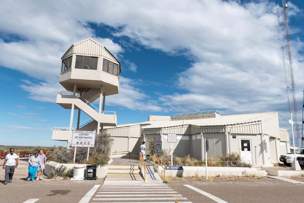 Bild Nr. 2 von Kreuzfahrt Landausflug Peninsula Valdes - Box Lunch inbegriffen Aktivität in Chubut Provinz, hochgeladen vom Anbieter
