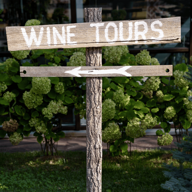 image n.26 of From Albufeira: Full-Day Wine Tasting Tour with a Guide activity in Monchique, uploaded by supplier
