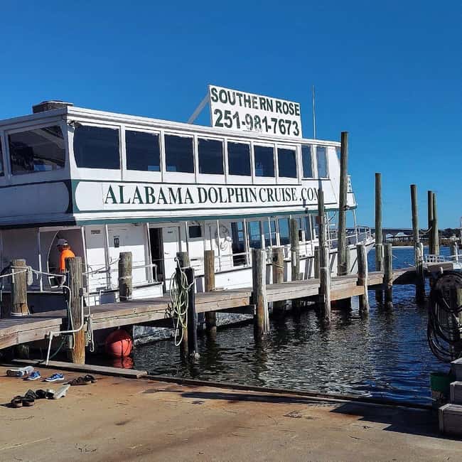 Bild Nr. 7 von Orange Beach: Delphin-Kreuzfahrt Aktivität in Florida, hochgeladen vom Anbieter