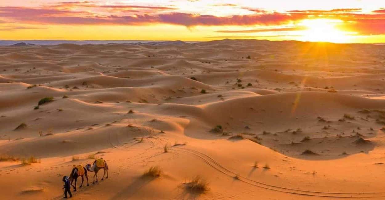 image n.6 of From Ouarzazate : 3 Days Desert Tour To Marrakech activity in Drâa-Tafilalet, uploaded by supplier