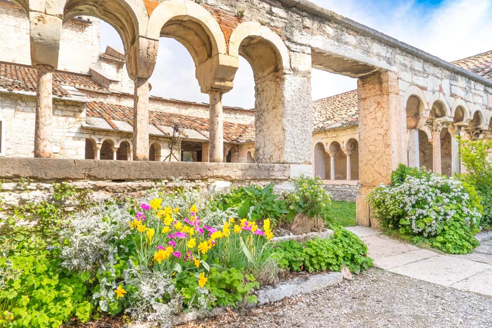 Immagine nº 59 di Il tour completo dell'Amarone: 2 cantine, pranzo e approfondimento sull'Amarone attività a Verona, caricata dal fornitore