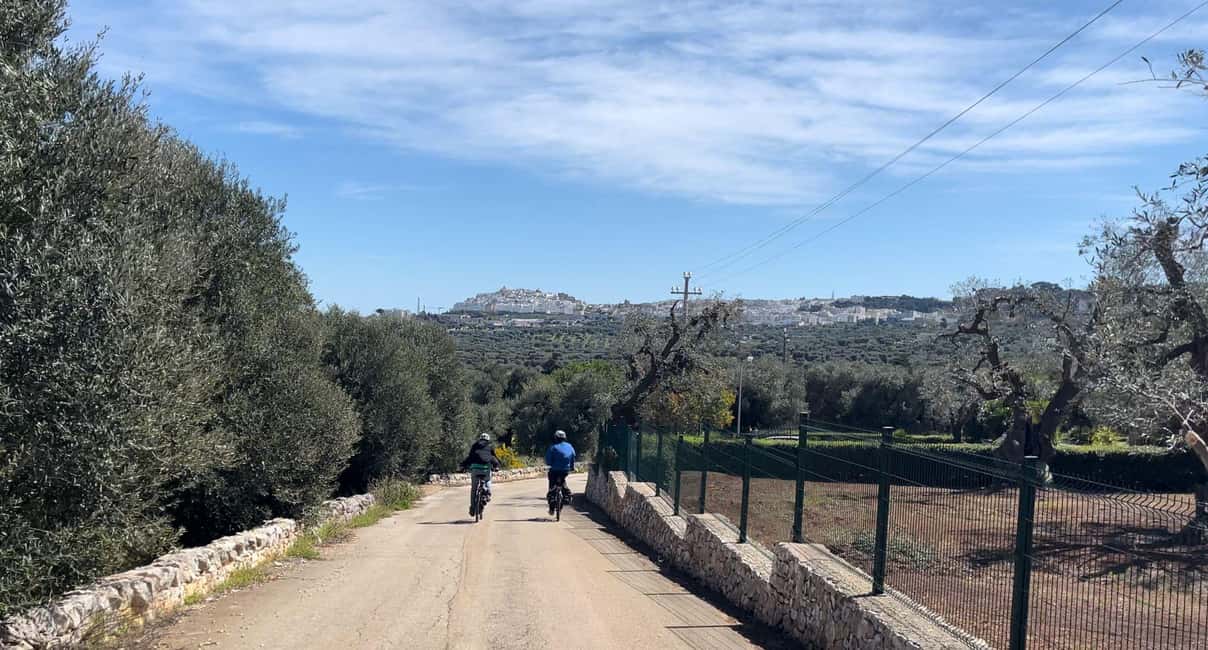 Immagine nº 28 di Ostuni: Tour in bicicletta con un bicchiere di vino e bruschetta attività a Ostuni, caricata dal fornitore