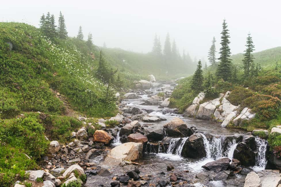 image n.10 of From Seattle: Mount Rainier National Park Guided Tour activity in Washington (State), uploaded by supplier