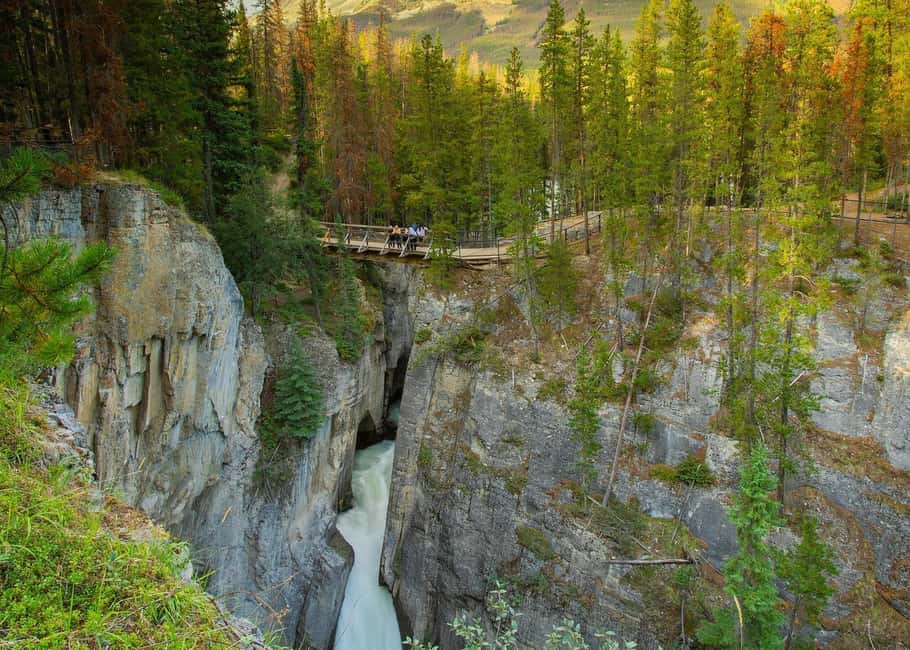 image n.5 of Calgary: Day Trip to Jasper with Lunch activity in Alberta, uploaded by supplier