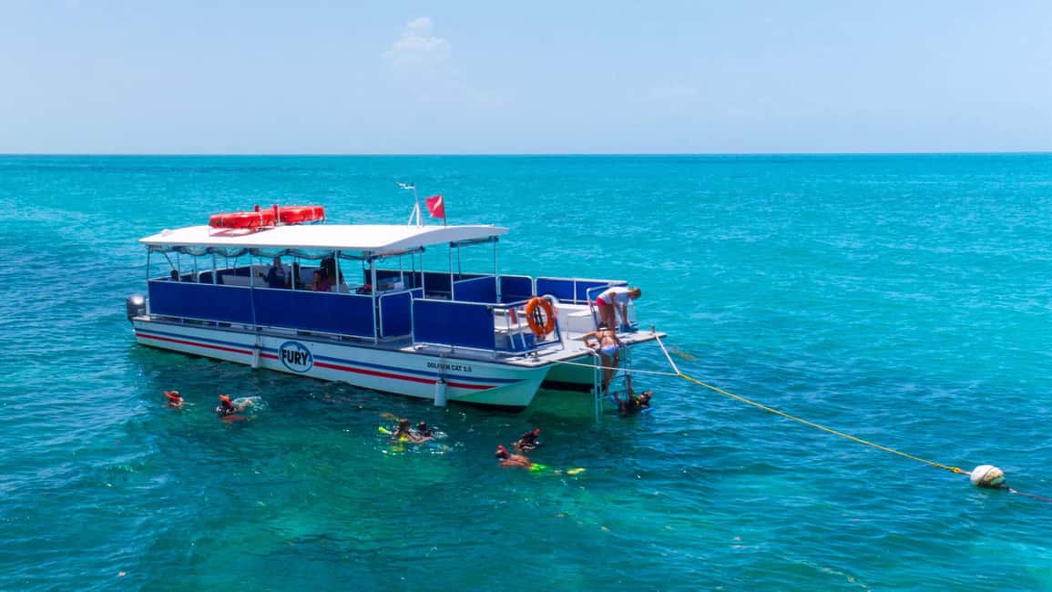 imagen n.º 5 de Cayo Hueso: Paseo en barco para avistar delfines y hacer snorkel actividad en Estados Unidos, subida por el proveedor