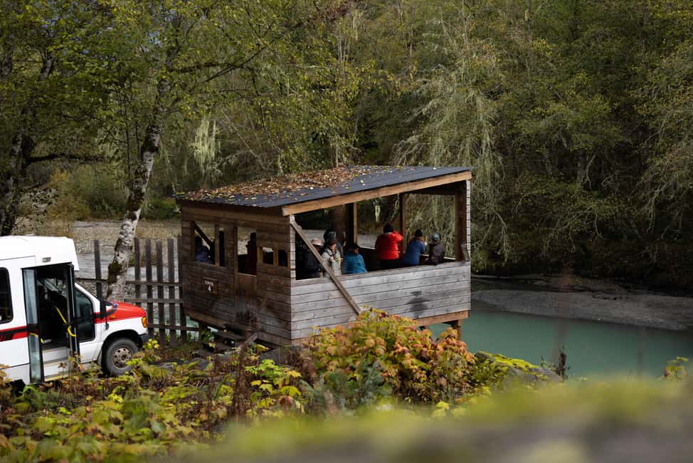 image n.9 of Vancouver Island: Full-Day Grizzly Bear Tour at Toba Inlet activity in British Columbia, uploaded by supplier