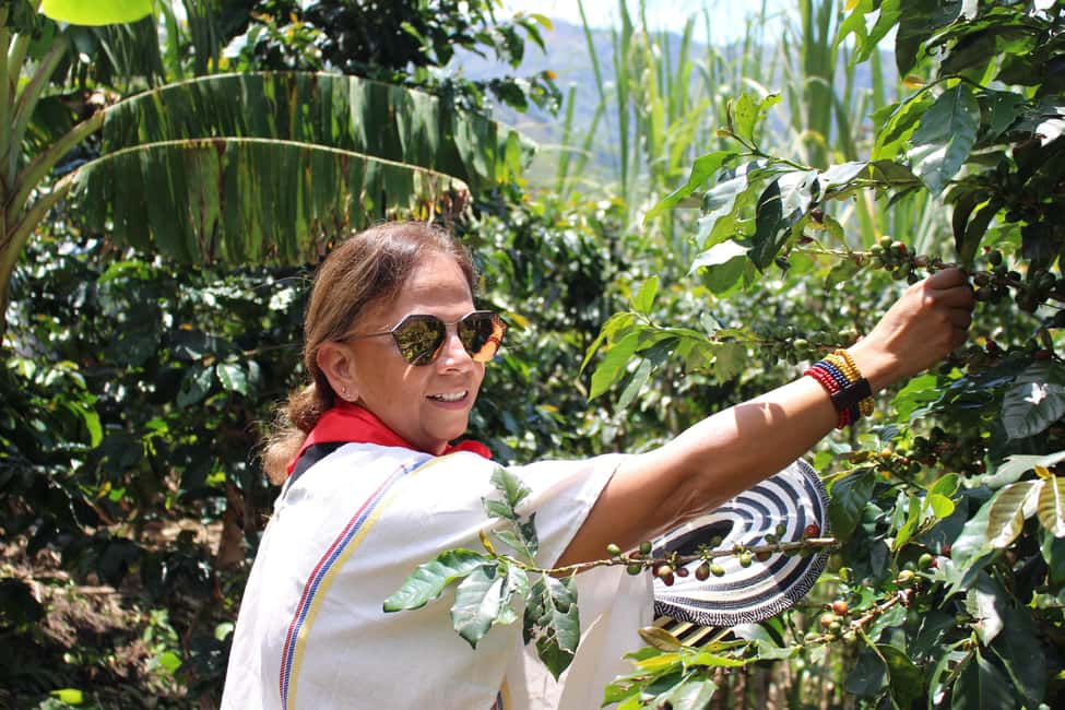 image n.3 of Medellin: Coffee Tour with Hotel Transfers and Meals activity in Medellin, uploaded by supplier