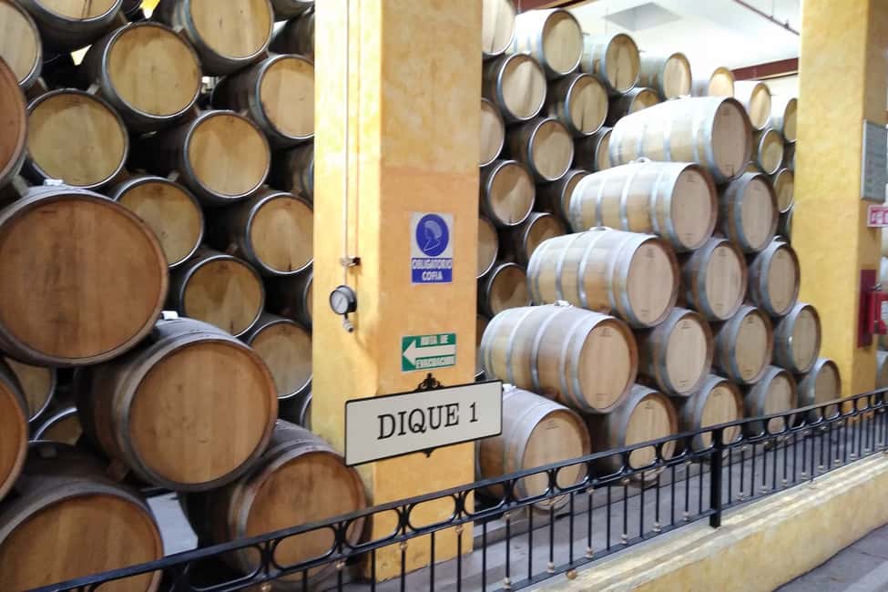 image n.6 of From Guadalajara: La Rojeña Distillery & Jose Cuervo Train activity in Tequila, uploaded by supplier
