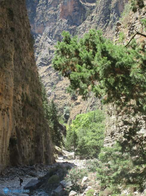 Immagine nº 33 di Da Rethymno: trekking di un giorno intero alle gole di Samaria, prelievo e guida attività a Rethymno, caricata dal fornitore