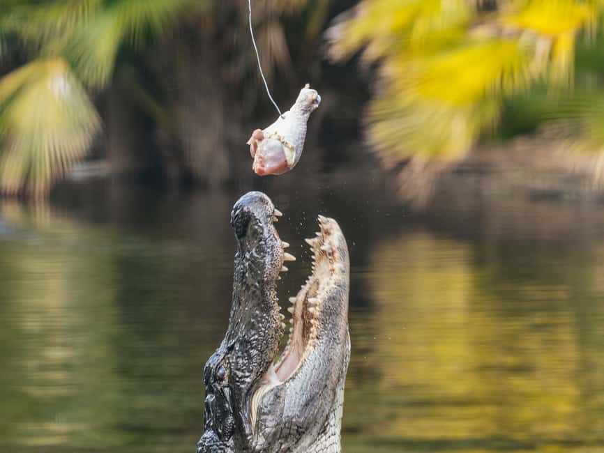bild n.3 av Orlando: Drive-Thru Safari Park i Wild Florida aktivitet i Florida, uppladdad av leverantör
