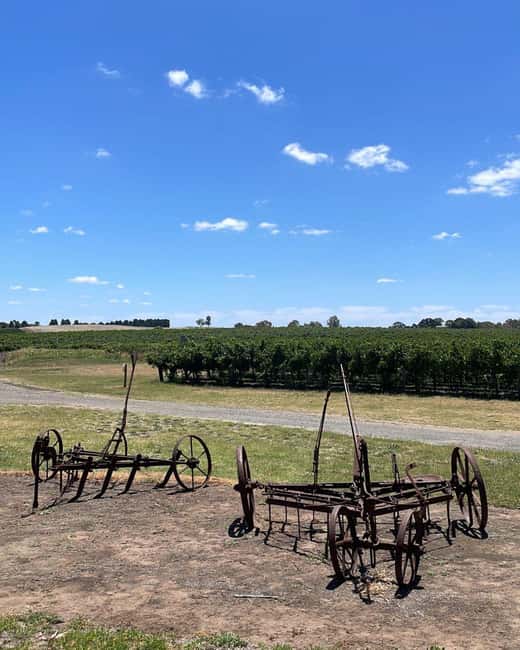 imagen n.º 8 de Desde Adelaida: Hahndorf y Valle de Barossa con almuerzo en bodega actividad en Nuriootpa, subida por el proveedor