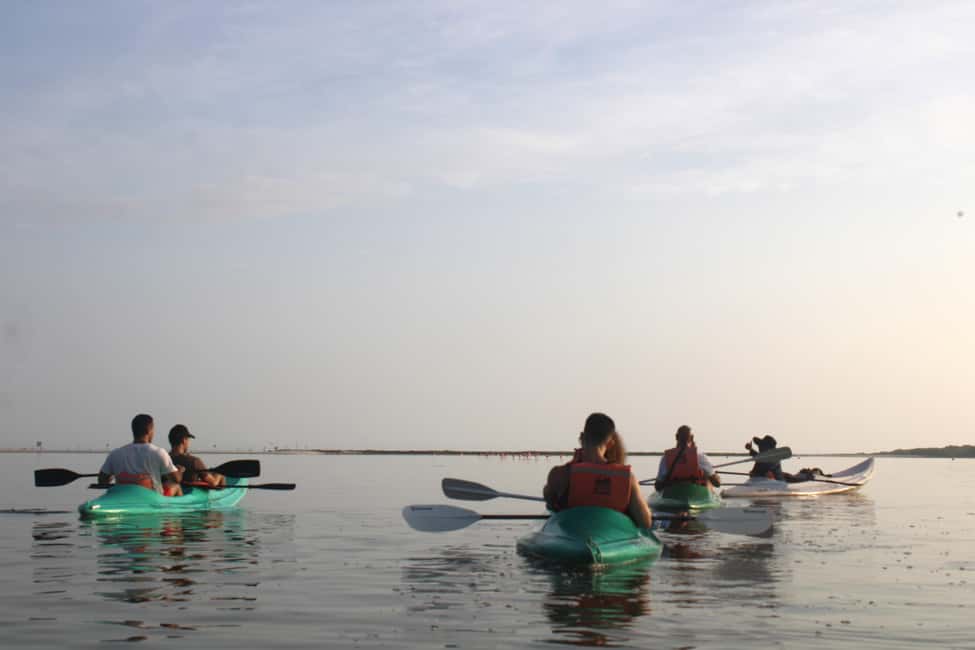 Image N°4 de Holbox : Visite guidée en kayak au lever/coucher du soleil dans la réserve de mangroves activité à Holbox, publiée par le prestataire