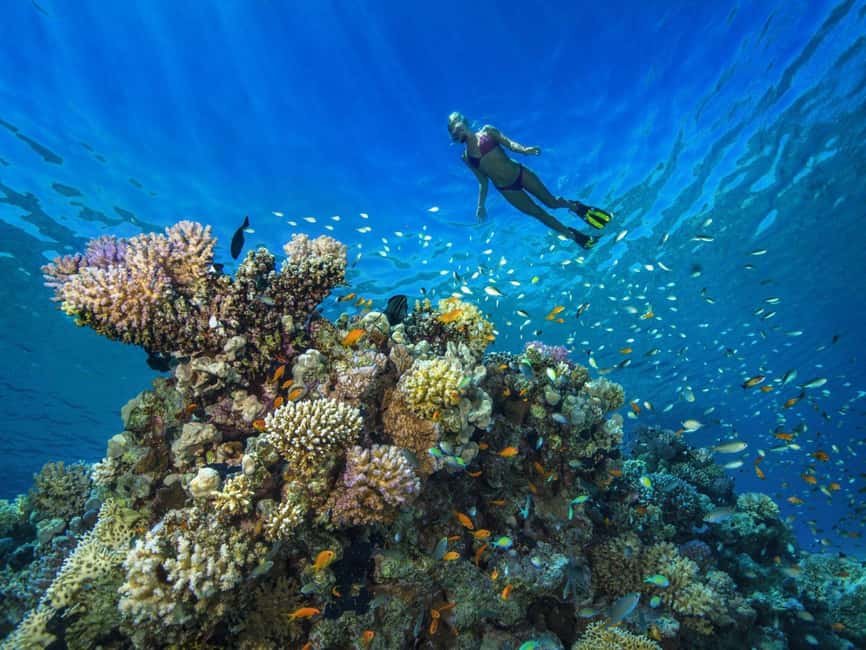 image n.5 of Discover Scuba Diving in Dubai activity in Dubai, uploaded by supplier
