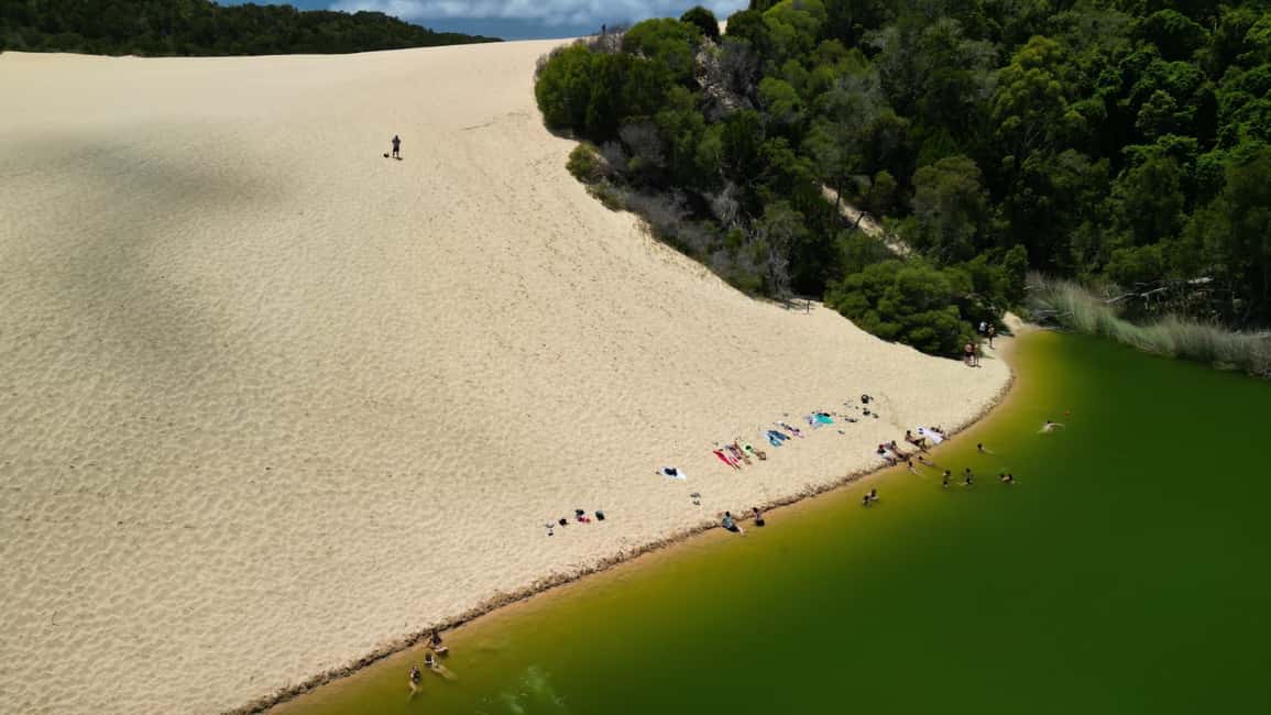 Image N°22 de Rainbow Beach : 3 jours d'aventure en 4x4 à K'gari (île Fraser) activité à Queensland, publiée par le prestataire