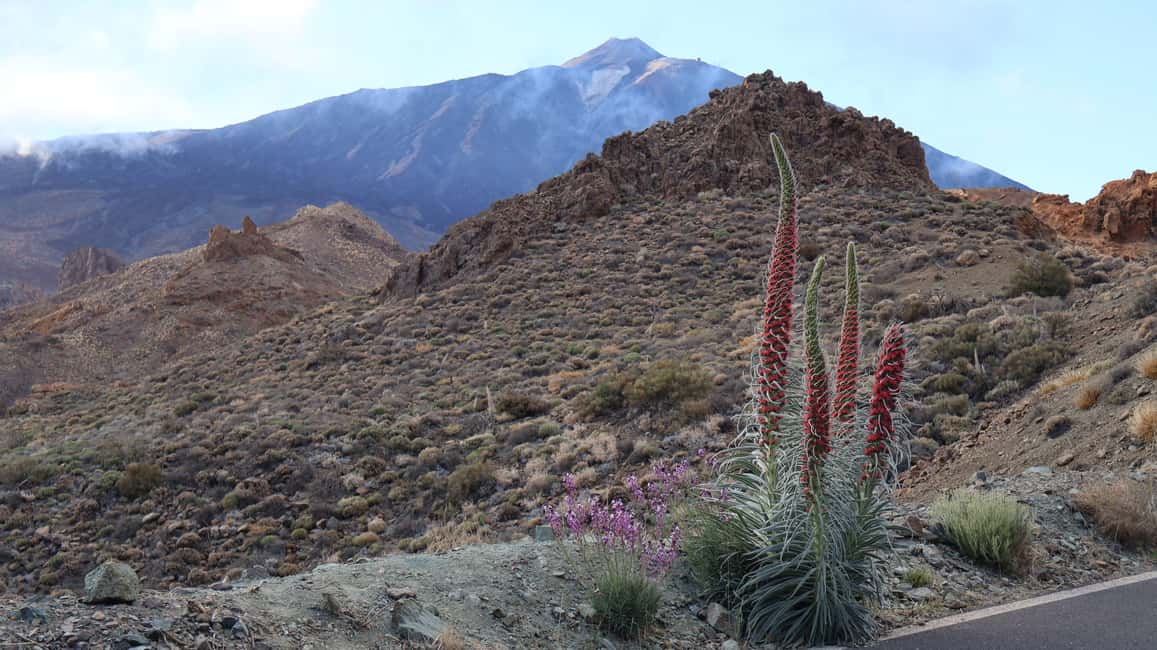 billede nr.24 af aktiviteten Tenerife: Teide Buggy Tour om morgenen eller ved solnedgang i Kanarieøerne, uploadet af udbyder